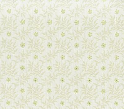 Giấy dán tường Hàn Quốc 8005