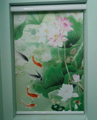 Rèm cuốn tranh VD33