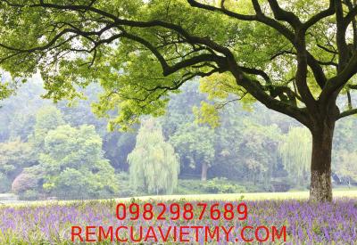 Tranh dán tường vải lụa AH002